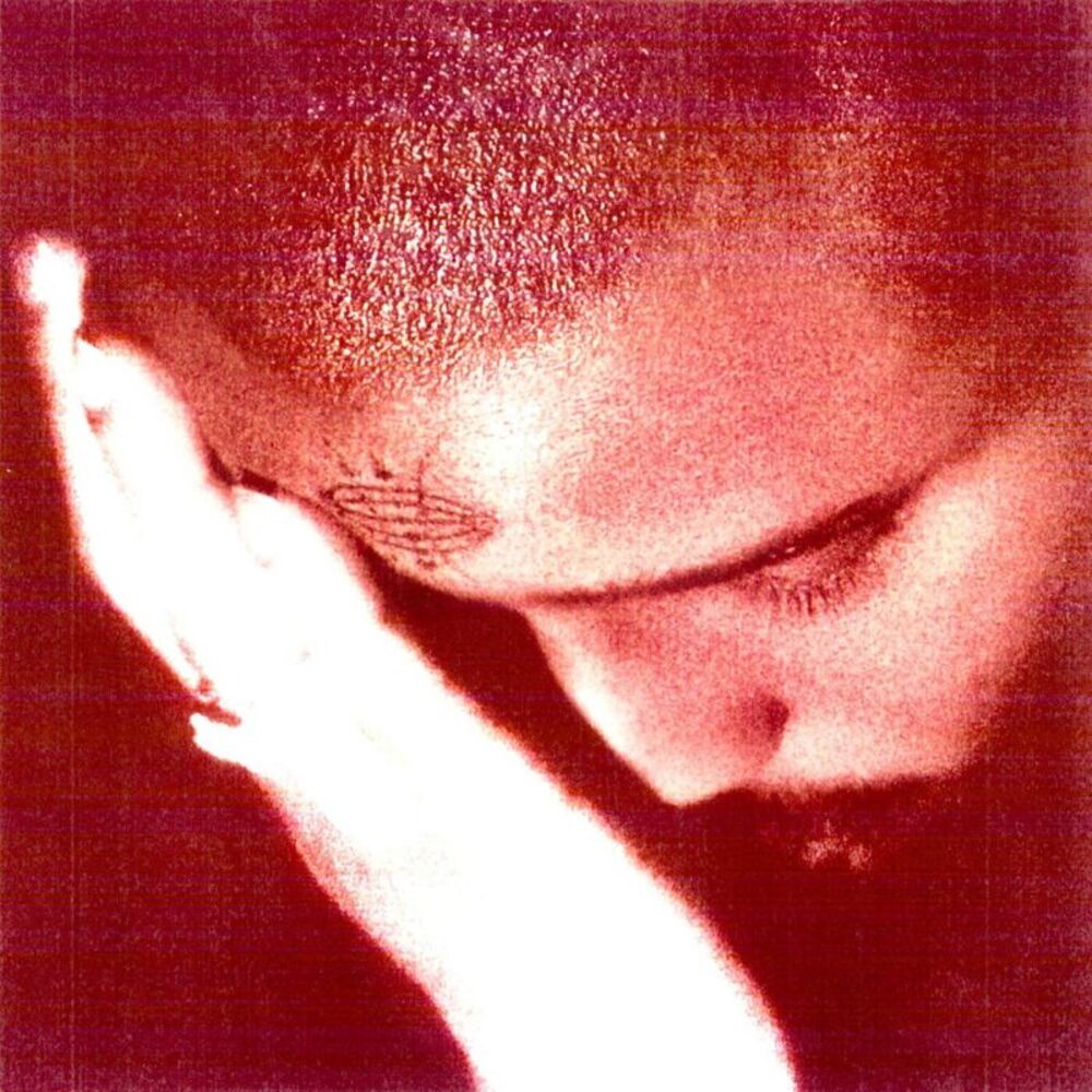 Nourished by Time - The Passionate Ones  LP LP